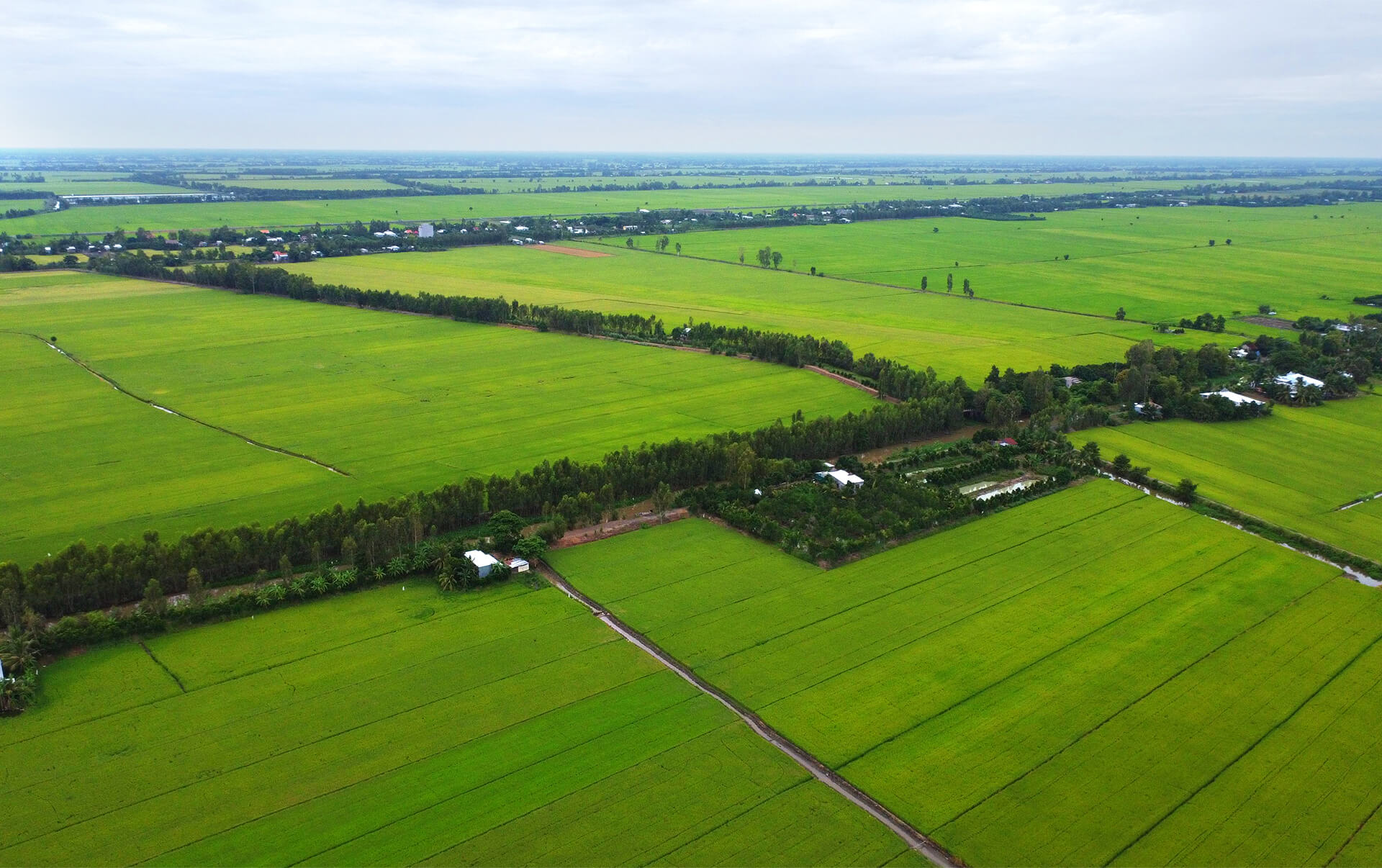 Chuyển đổi xanh nông nghiệp