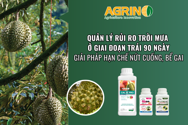Giai Đoạn Nuôi Trái - Agrino Việt Nam
